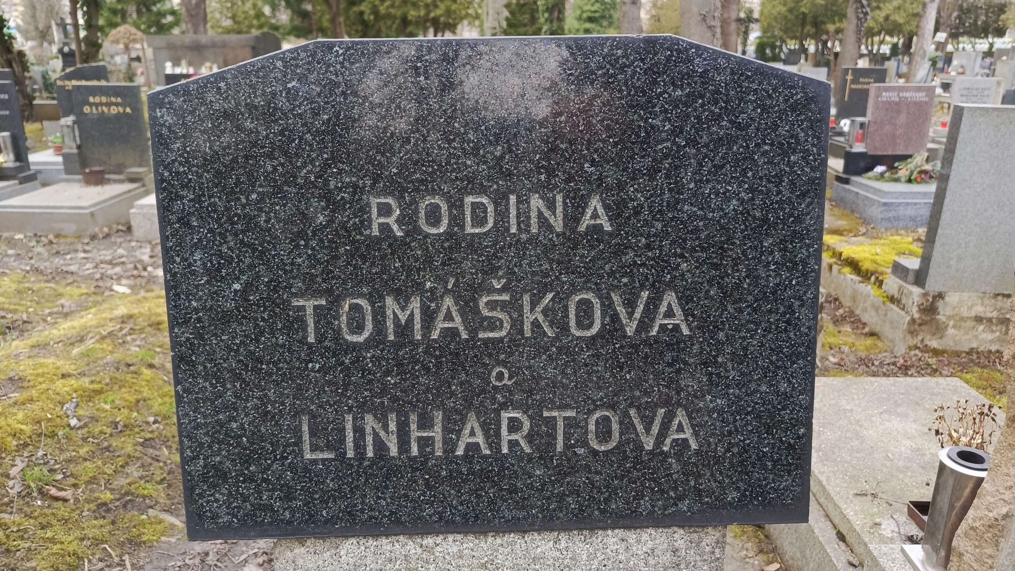 Zlacení plátkovým zlatem - před